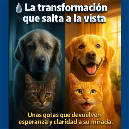 Pets visión: Devuélvele la claridad y la alegría a los ojos de tu mascota, sin dolor y de forma natural.