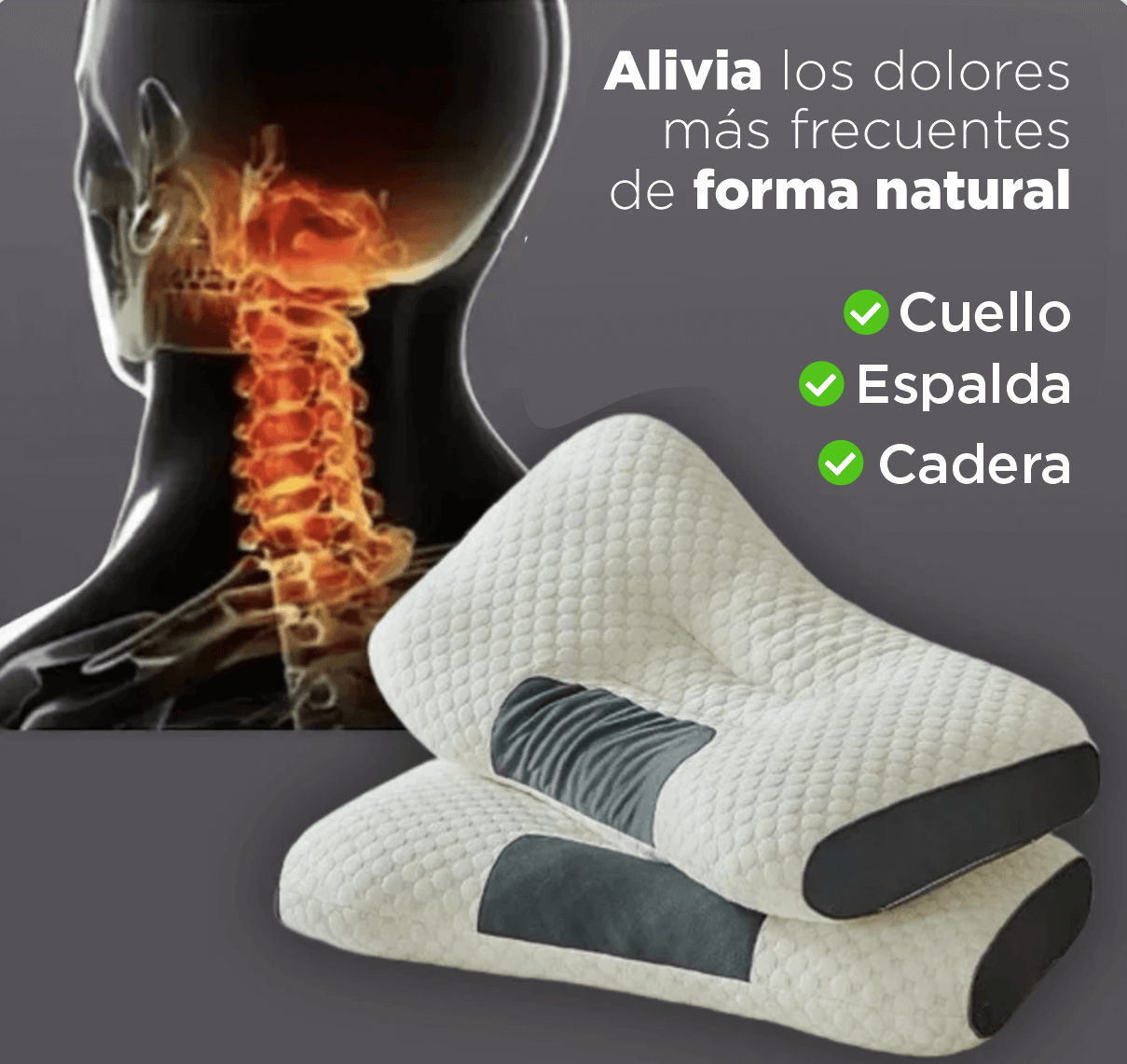 TotalCommfort: Descanso terapéutico para aliviar el dolor y mejorar tu postura en cuello, espalda y cadera.